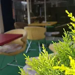 Lion Hotel 3*