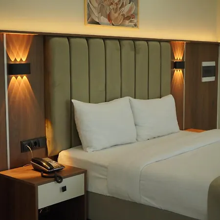 Otel Lion