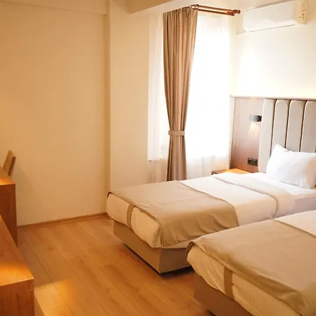 Lion Otel 3*