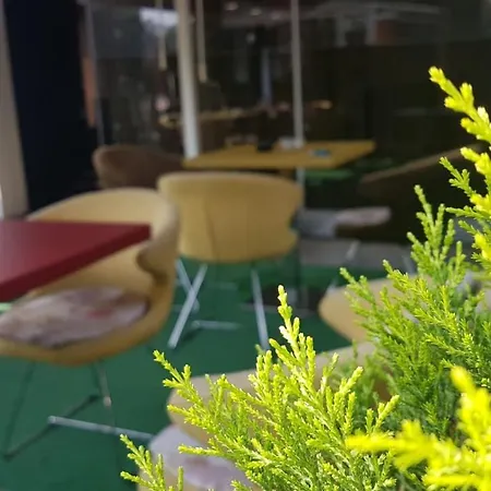 Lioncity מלון 3*